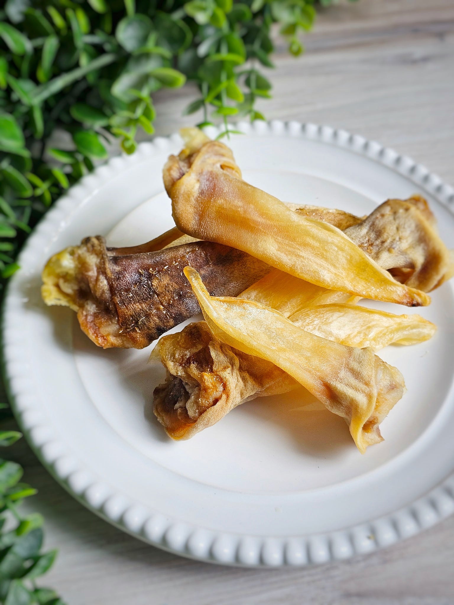 Lamb Ears (Furry & Non Fur)