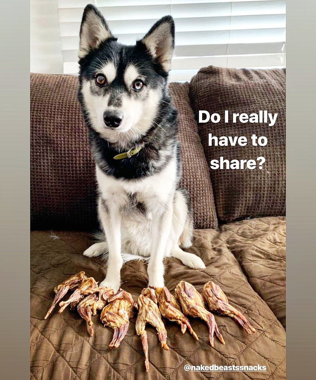 Whole Quails (Bone-In)