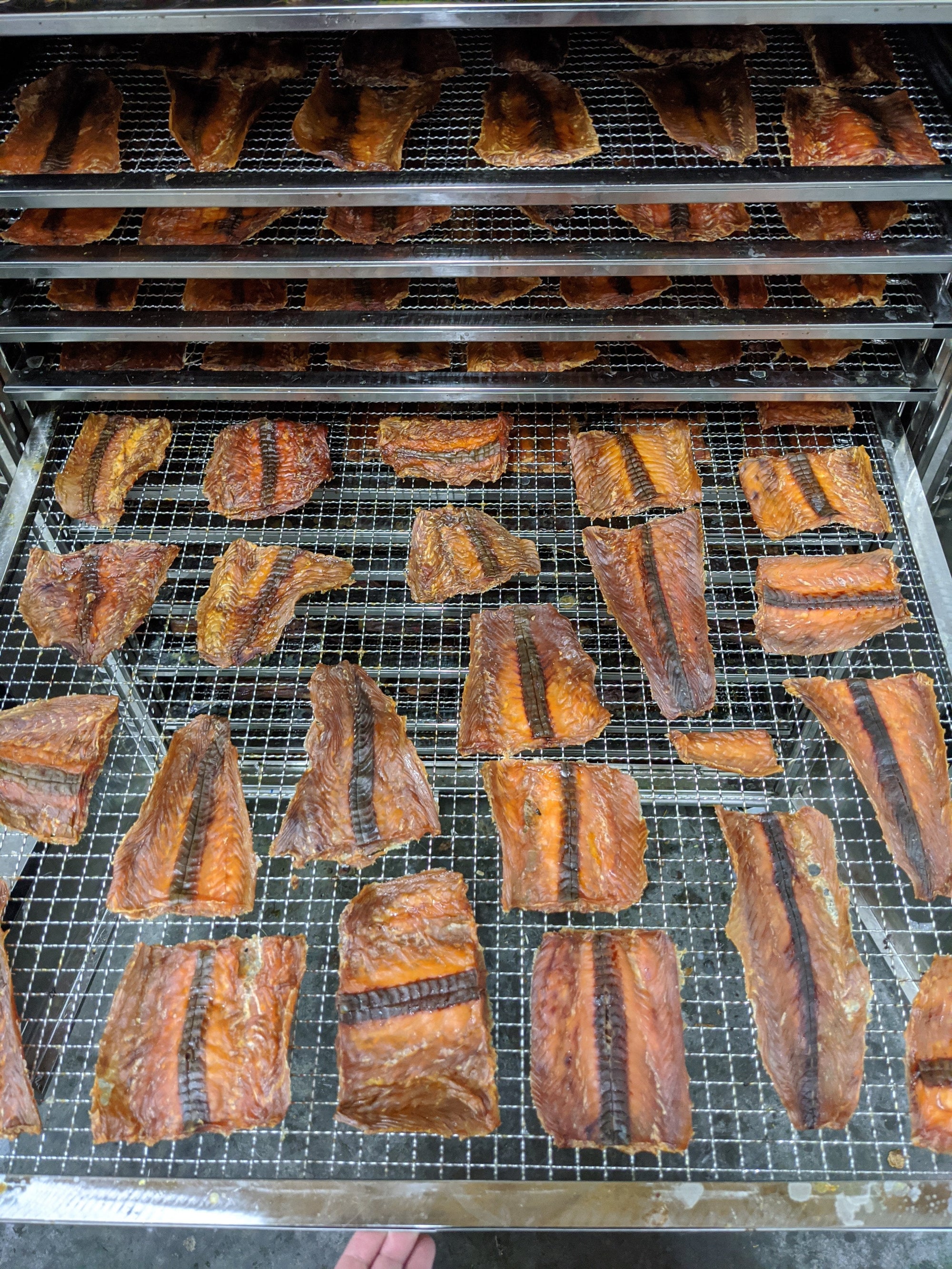 Salmon Fillet (Wild Caught)