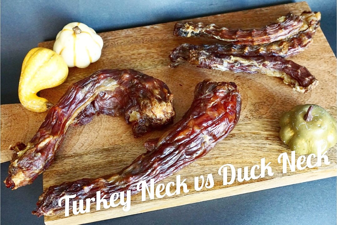 Turkey Neck