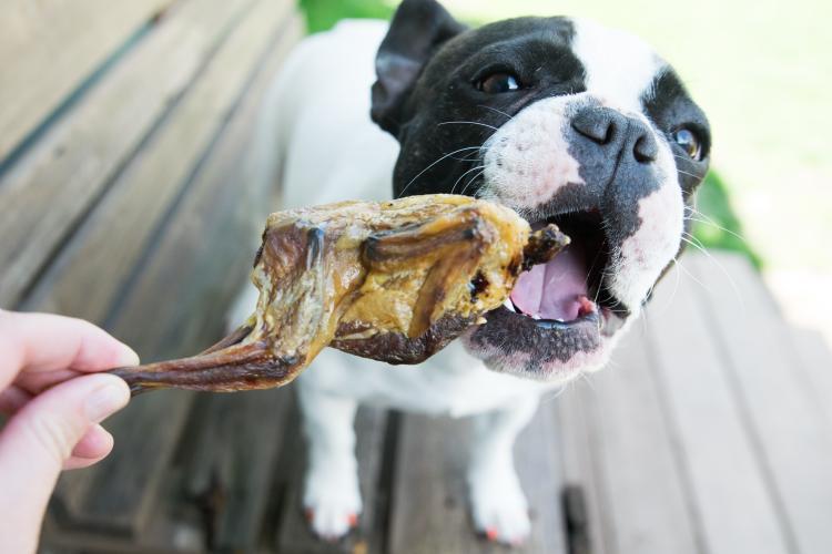 Whole Quails (Bone-In)