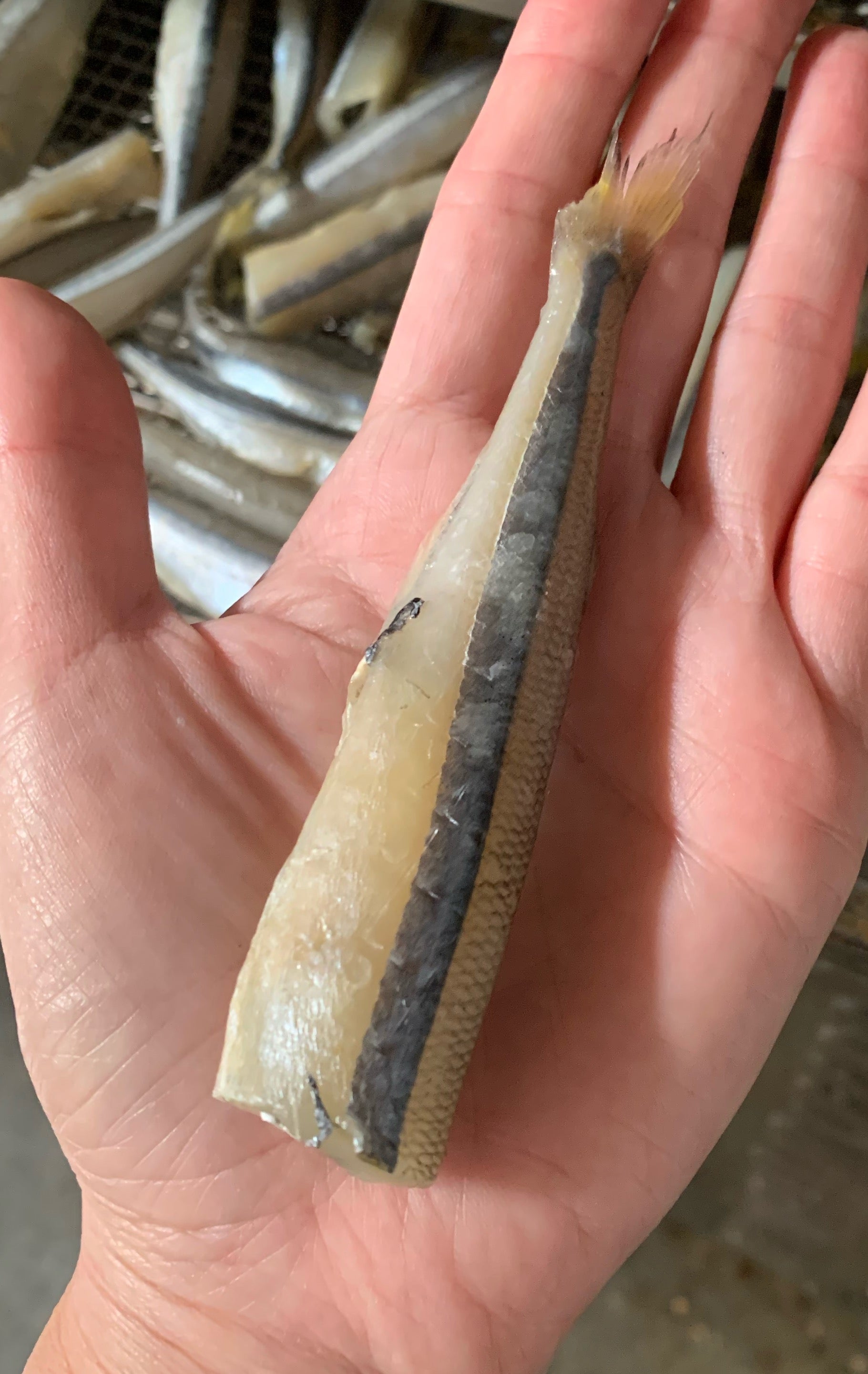 Smelt (Wild Caught)
